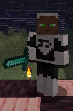 Phantom Accessories, Моды, Minecraft