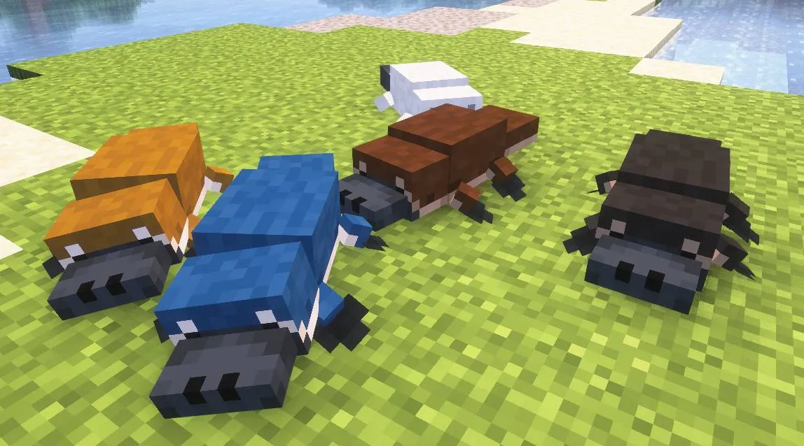 Platylotl | Axolotl to Platypus Conversion — скриншот 2 (Текстуры, Minecraft)