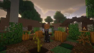 DragonFire Reborn, Модпаки, Minecraft