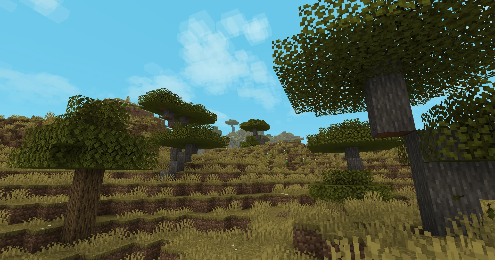 Spruced Up — скриншот 9 (Текстуры, Minecraft)