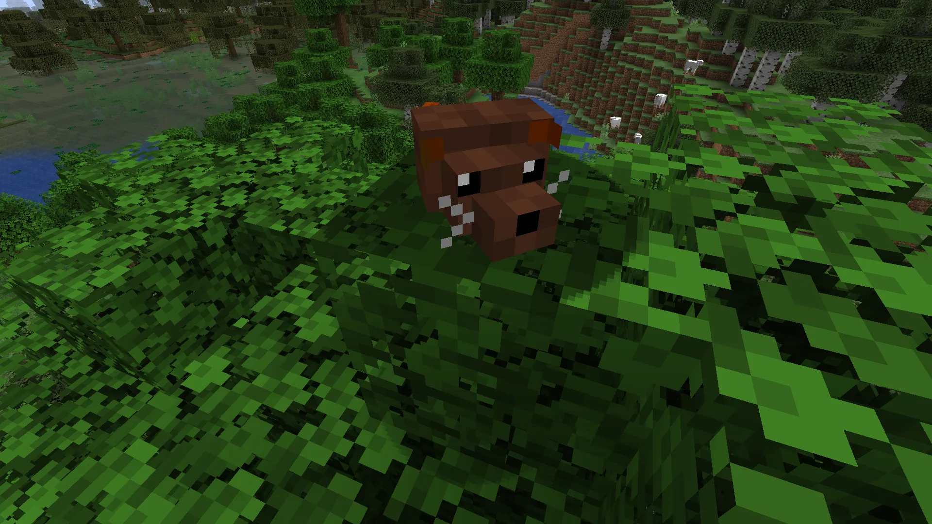 Dachshund, Моды, Minecraft