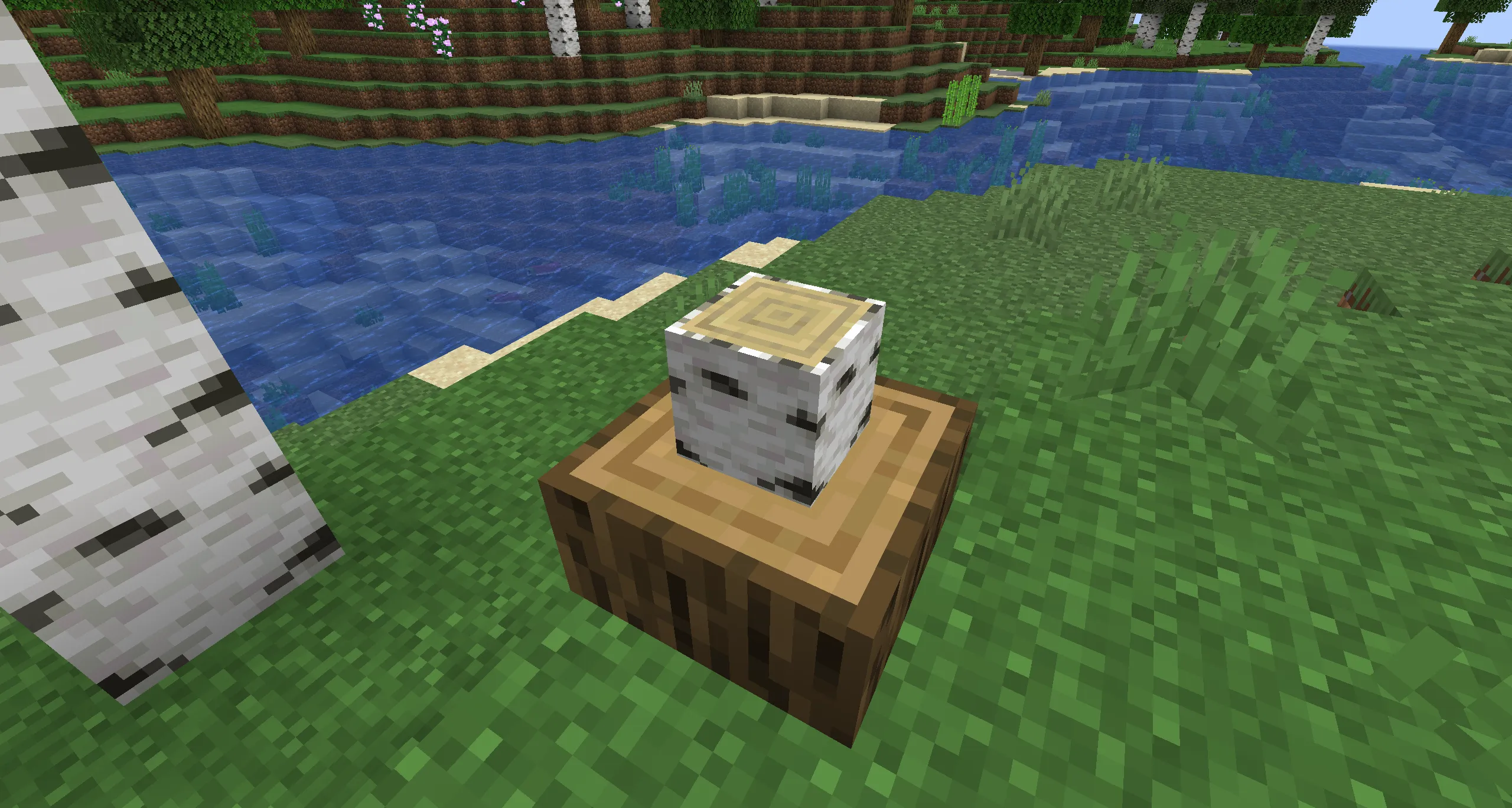 Qv Stump, Моды, Minecraft