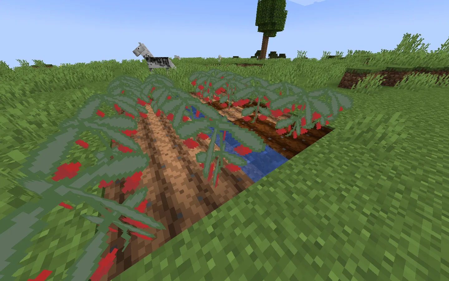 Barri´s Botany — скриншот 6 (Моды, Minecraft)