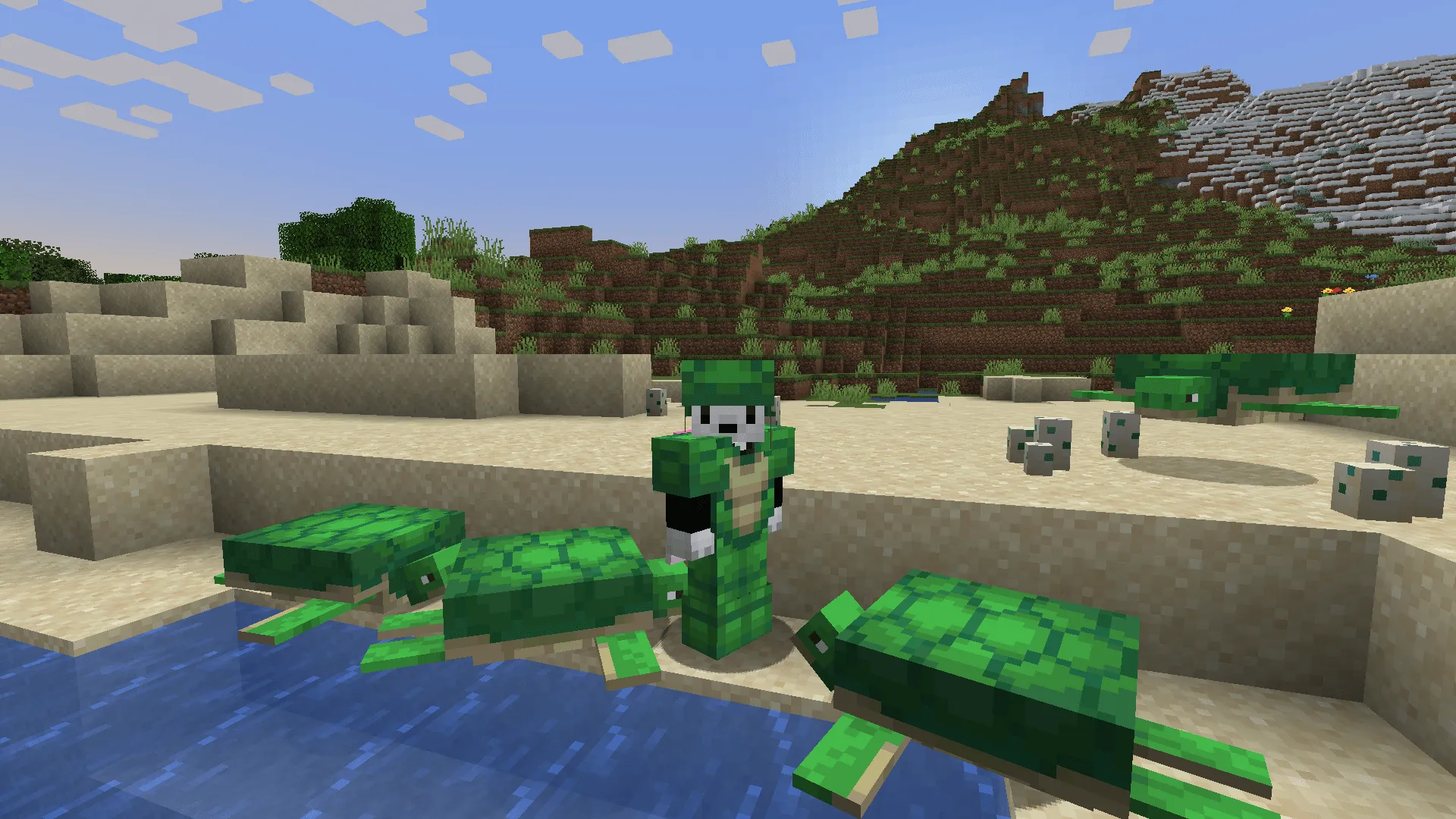 Torrezx-Turtle armor complete !, Текстуры, Minecraft
