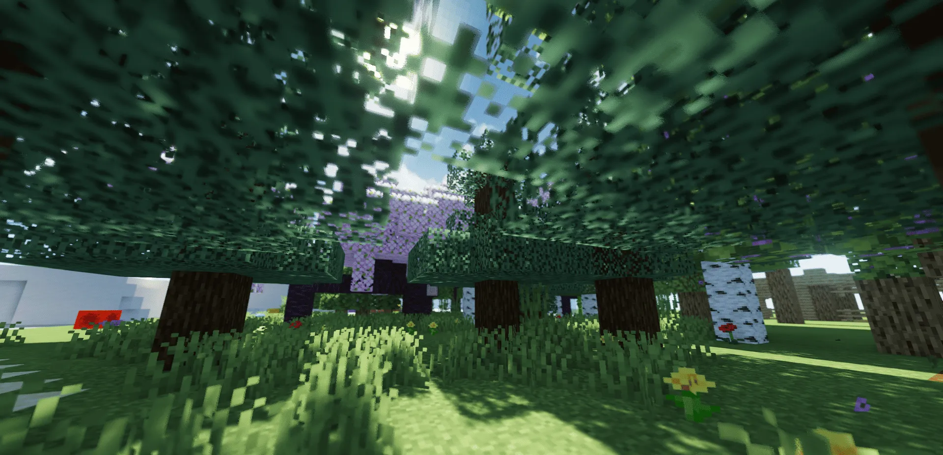 Body Camera Shader (MakeUp Edit), Шейдеры, Minecraft