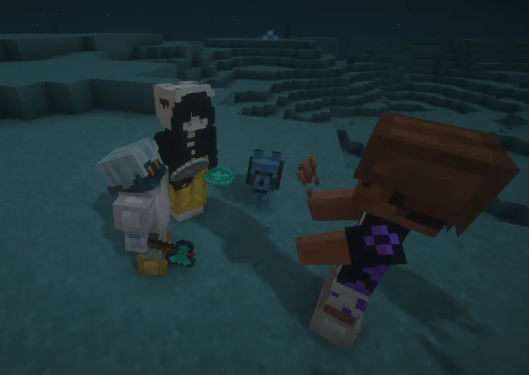 CoinMasterPRO, Моды, Minecraft