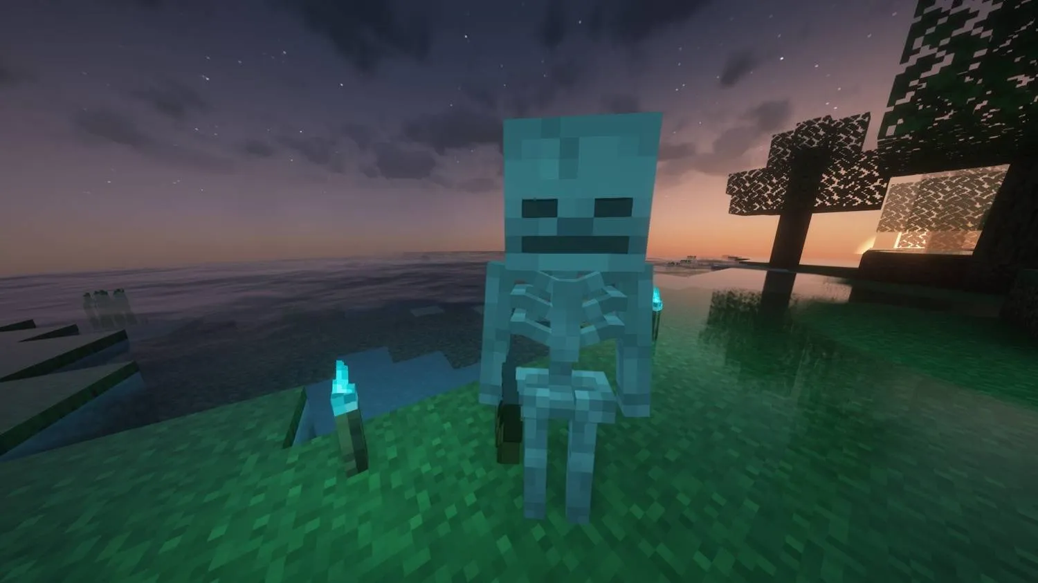 Realistic Skeletons, Текстуры, Minecraft