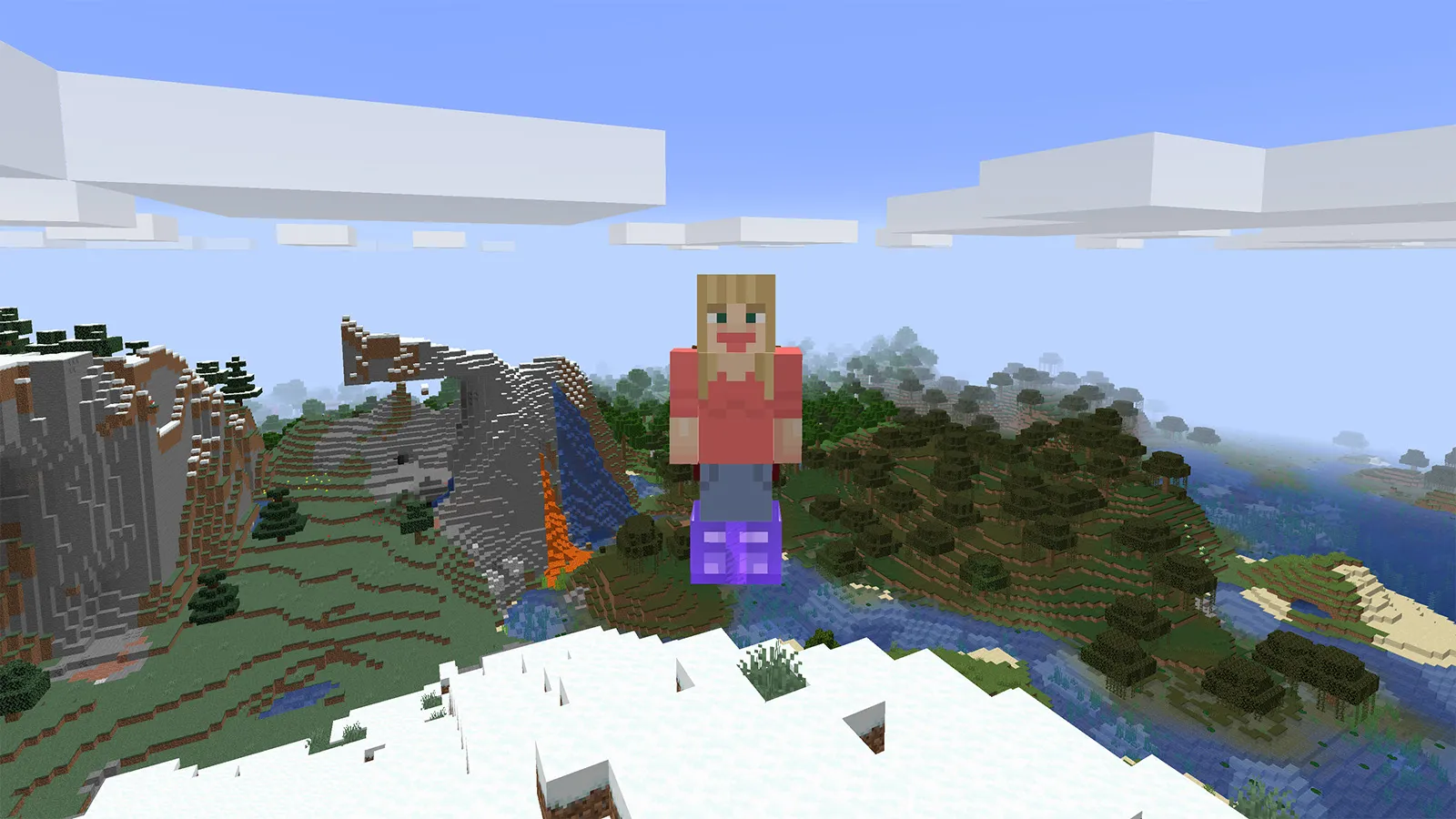 The Tools You Want, Моды, Minecraft