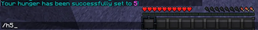 SetHunger — скриншот 2 (Плагины, Minecraft)