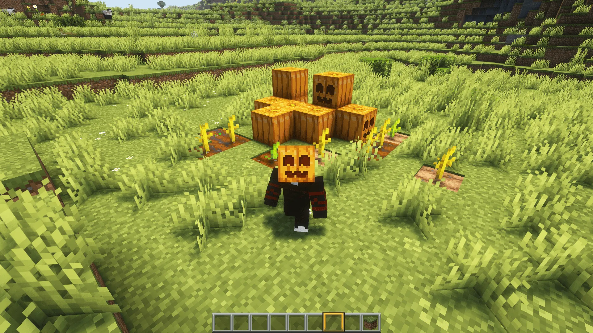 Cute Pumpkin, Текстуры, Minecraft