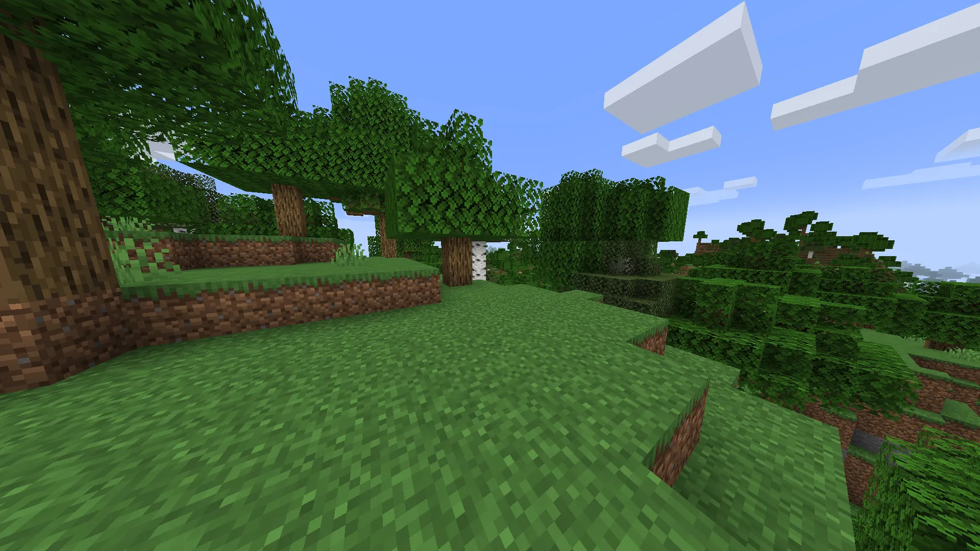 Textures Inchangées, Текстуры, Minecraft