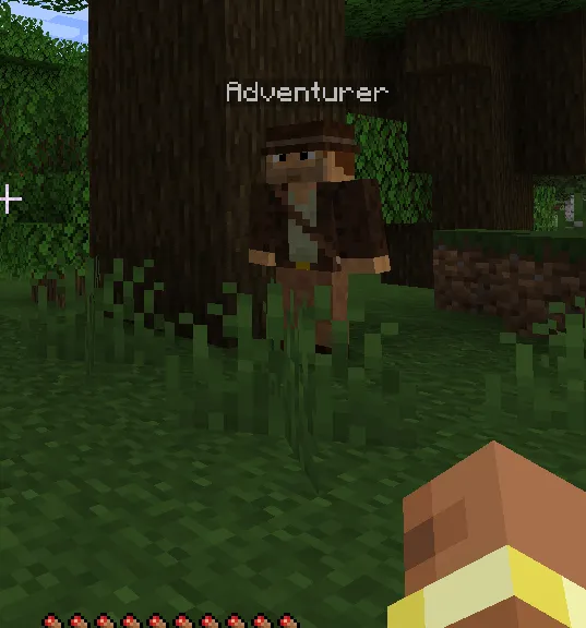 Adventurer Companion, Моды, Minecraft