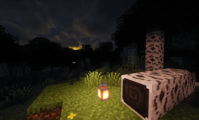 Clotard's Hyposphagma Forest - Dark Birch Forest, Текстуры, Minecraft