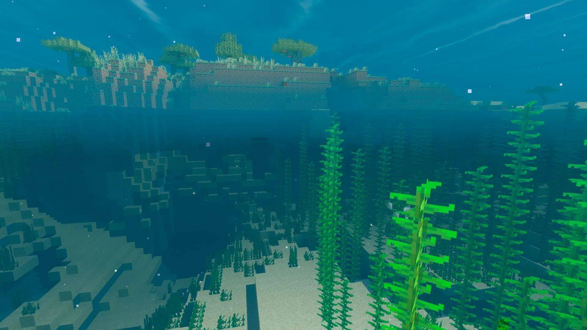 Oct-Path, Шейдеры, Minecraft