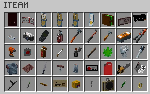 Roleplay, Моды, Minecraft