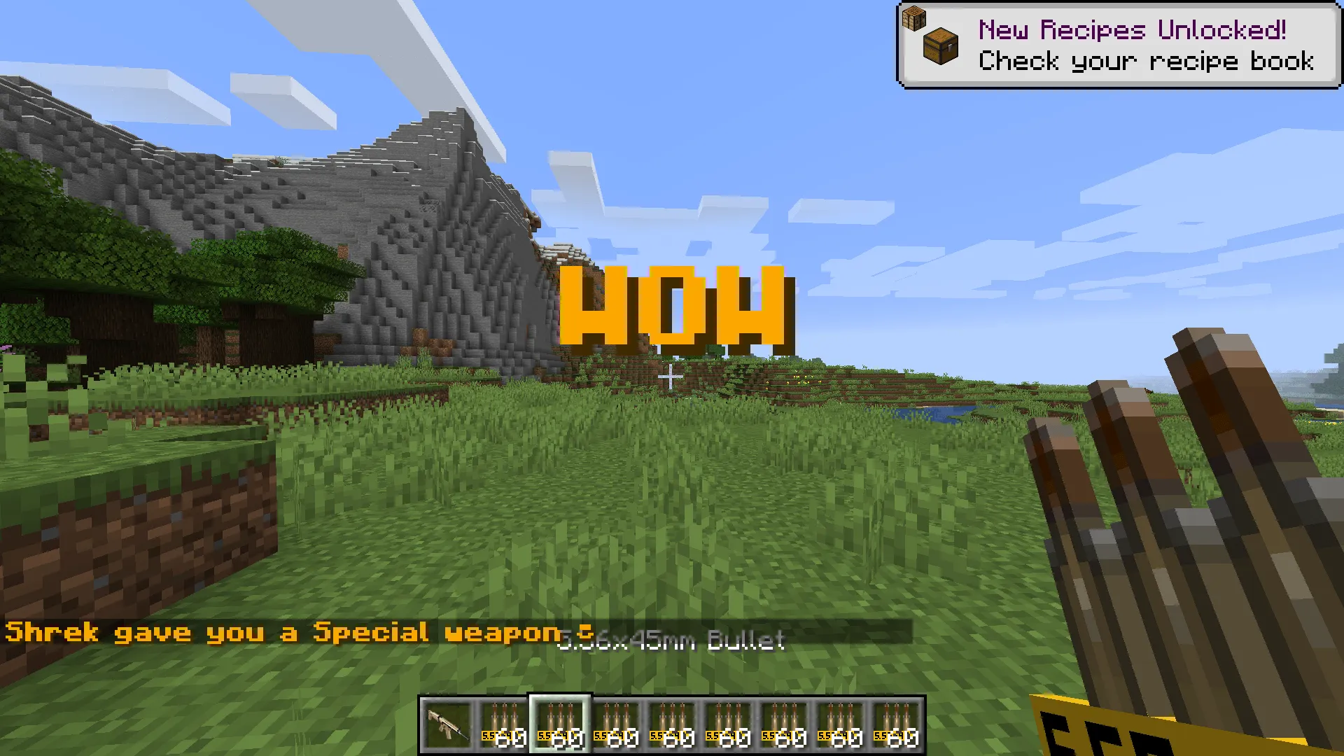 Random gun every minute, Дата-паки, Minecraft