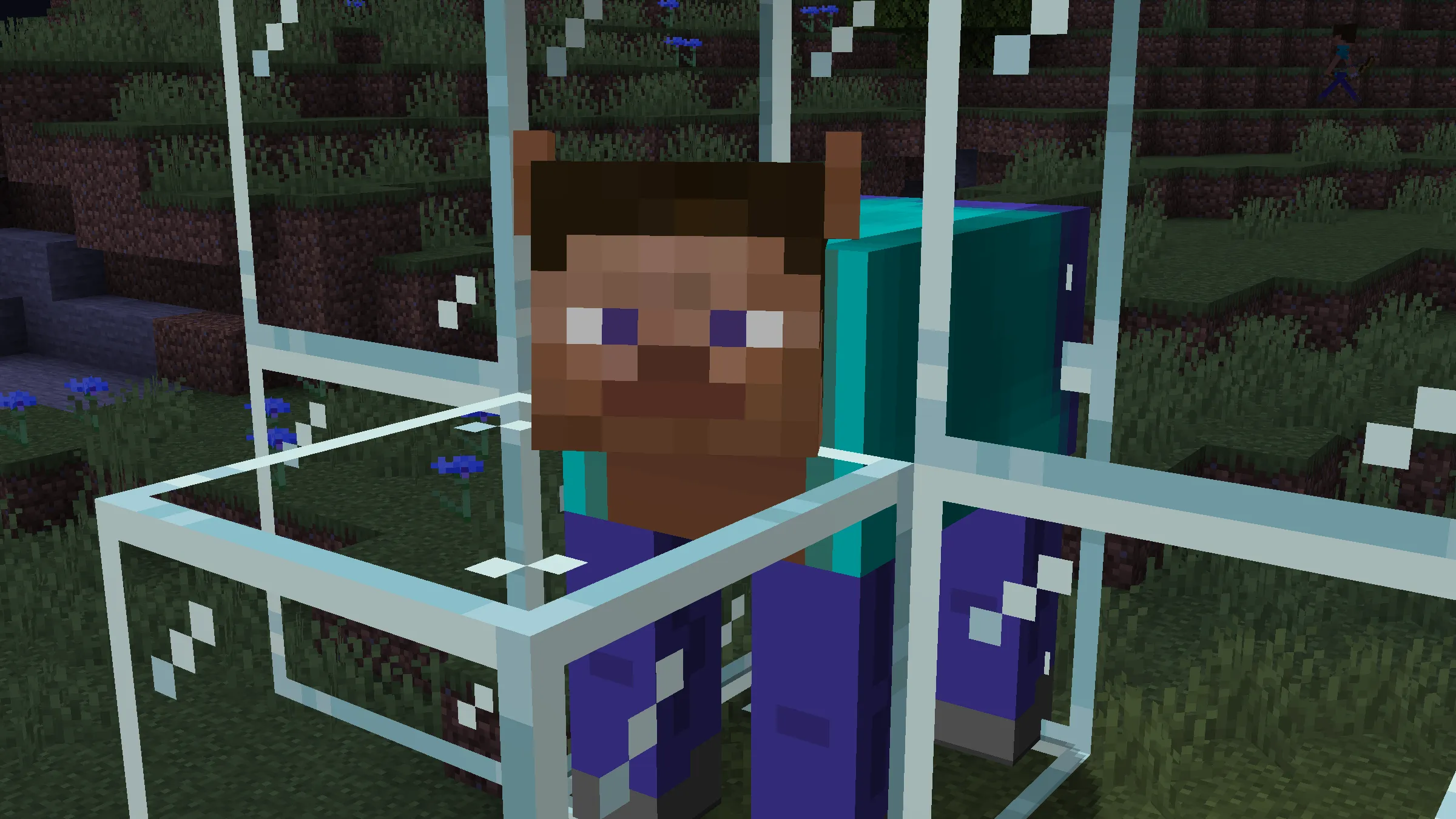 The Steve — скриншот 7 (Текстуры, Minecraft)