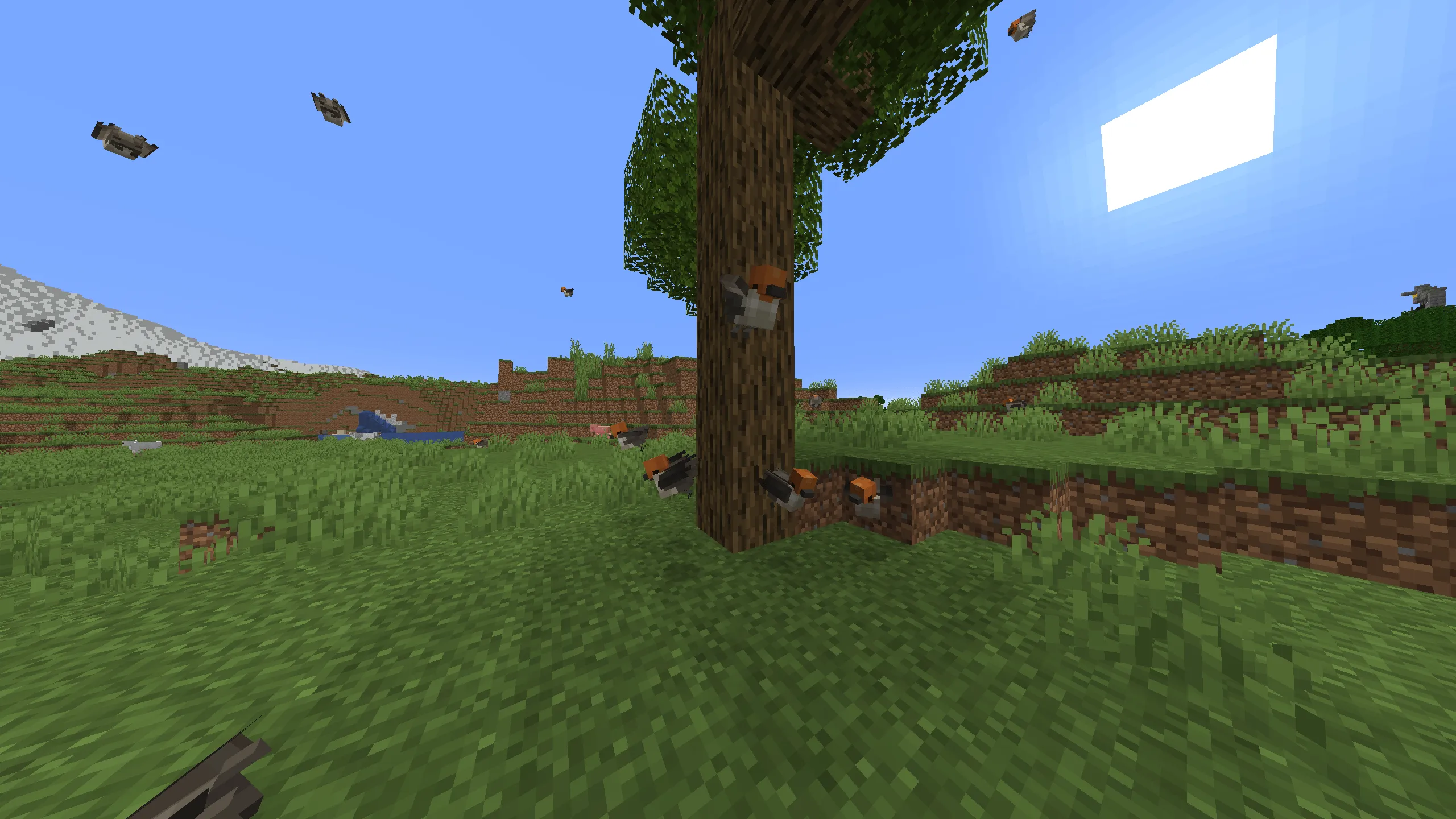 Bloom Boom, Моды, Minecraft