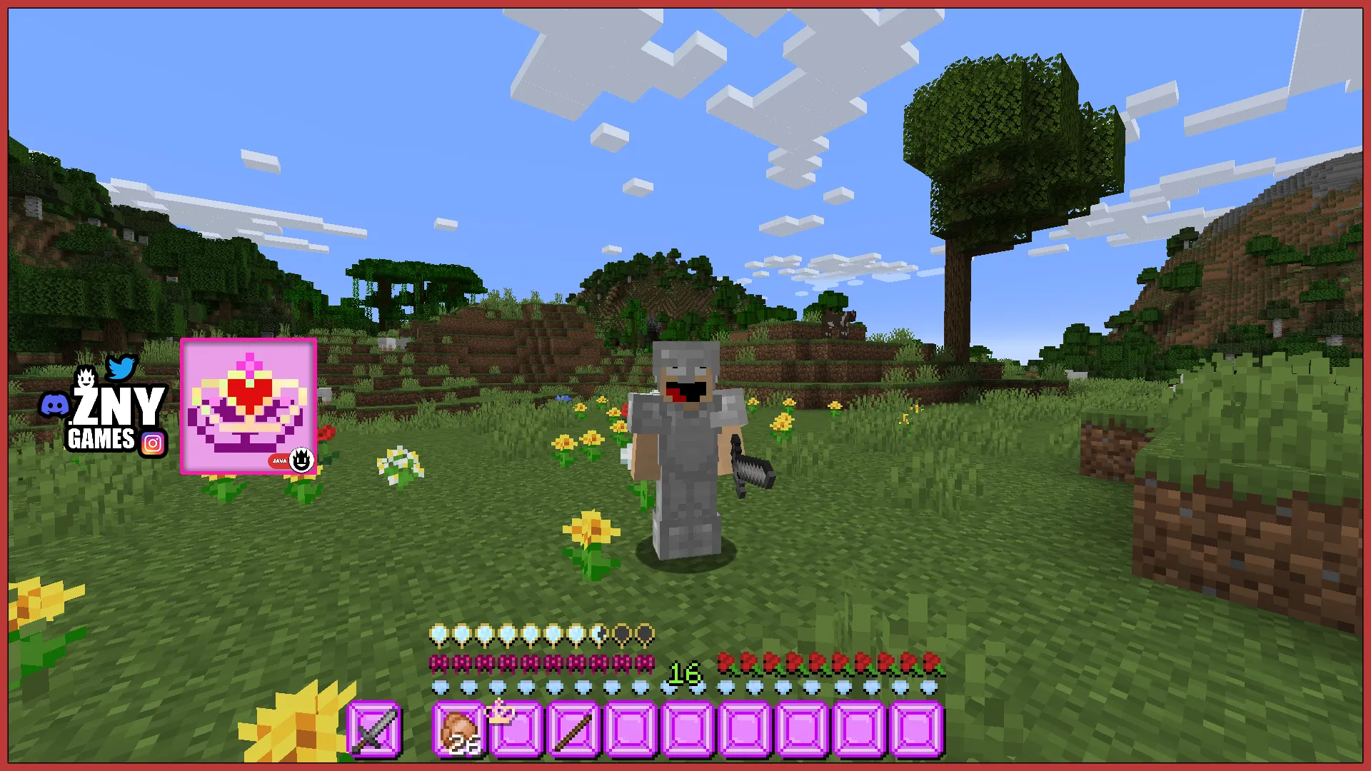 PRINCESS, Текстуры, Minecraft