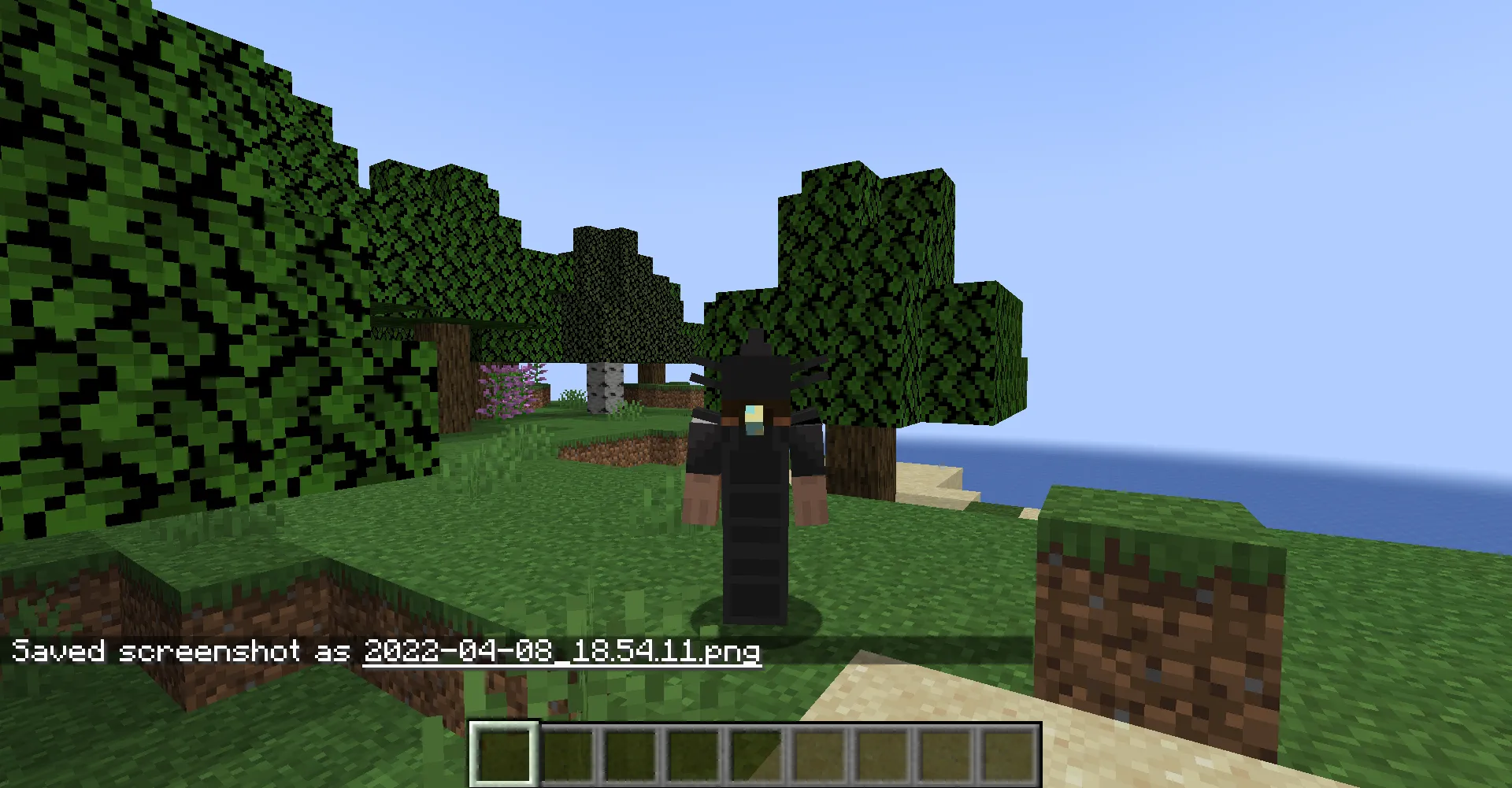 Dark Infection, Моды, Minecraft