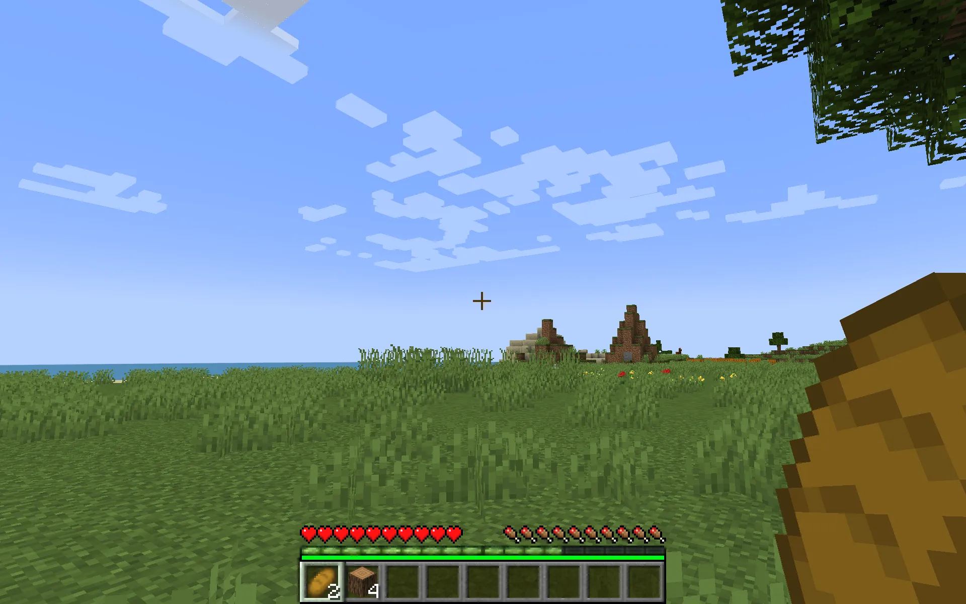 Stamina For Tweakers, Моды, Minecraft