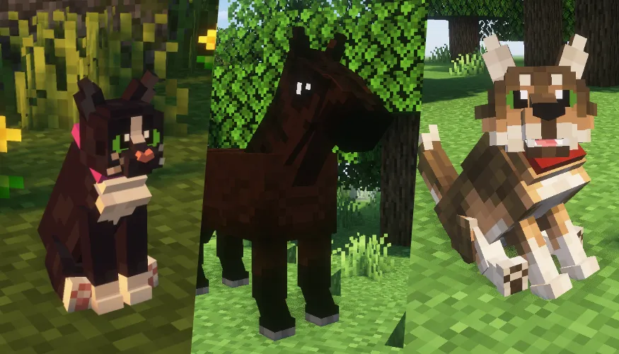 Gray's Animal Overhaul, Текстуры, Minecraft