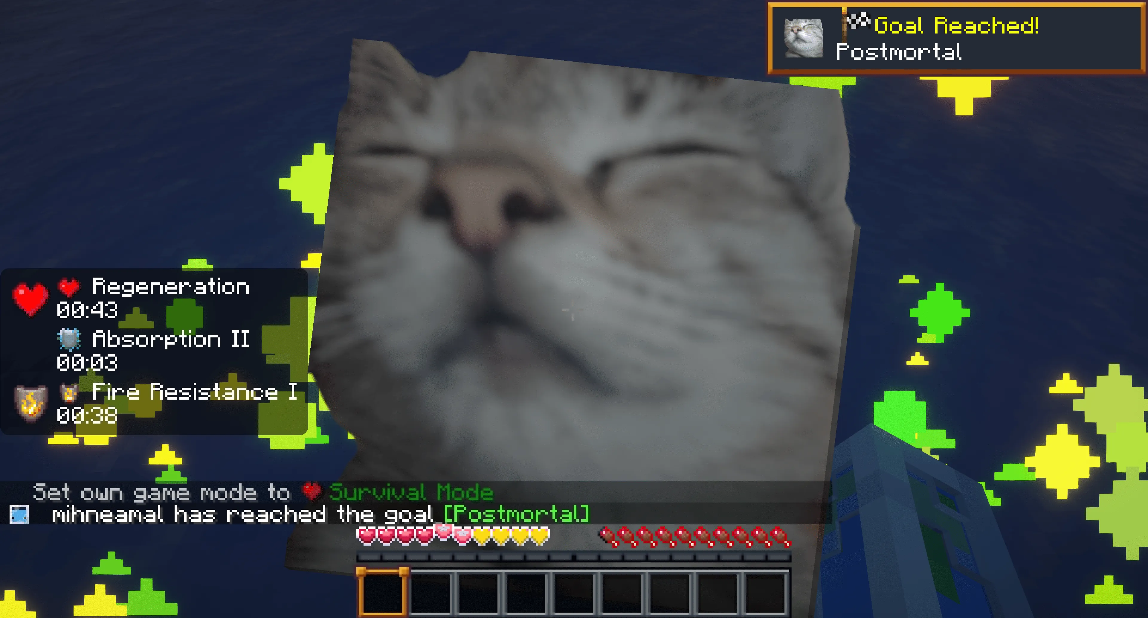 Cat Totem Pack, Текстуры, Minecraft