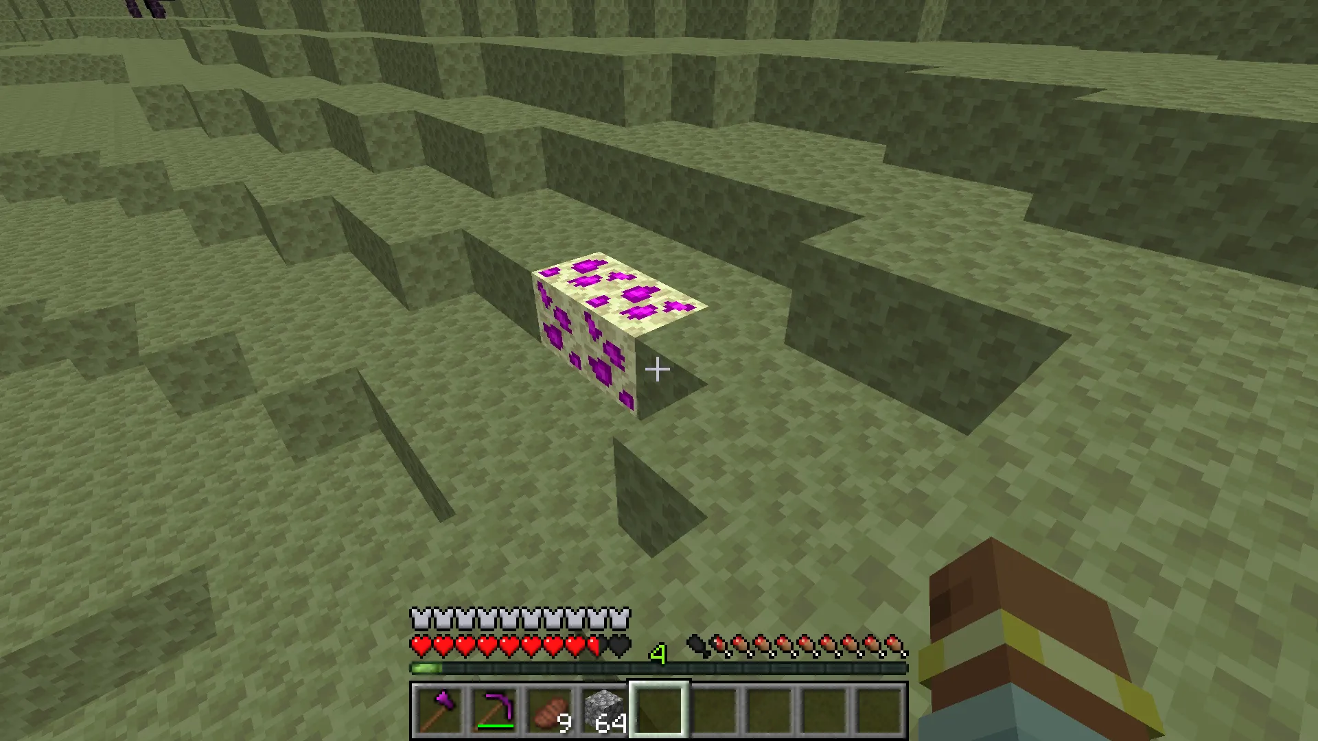 Everything You Want, Моды, Minecraft