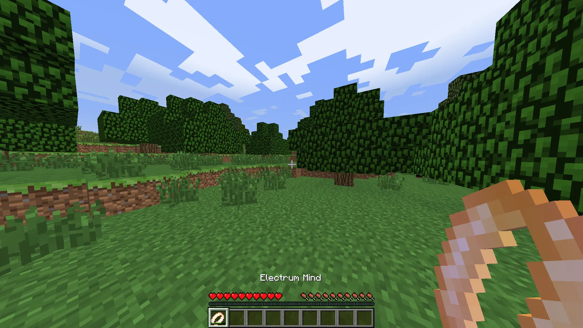 Feruchemy, Моды, Minecraft