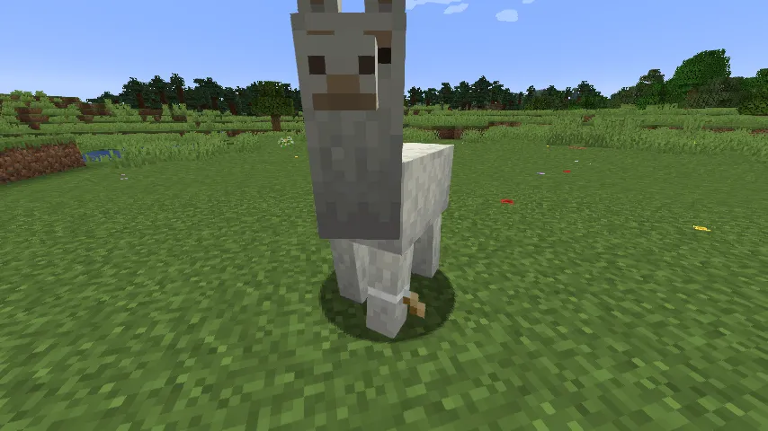 Tagged, Текстуры, Minecraft