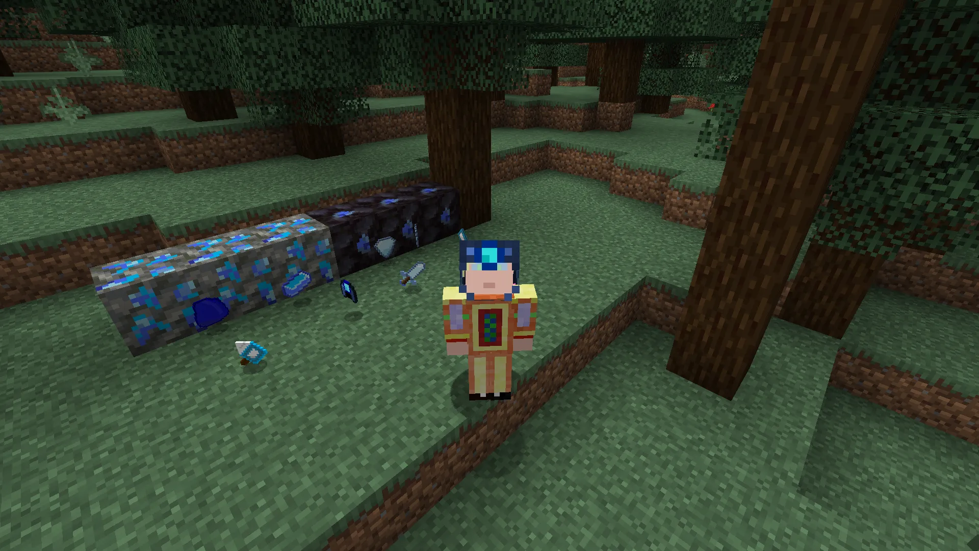 What's next?, Моды, Minecraft