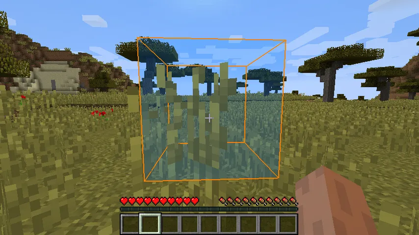 Enhanced Selection Bounding Box Mod, Моды, Minecraft
