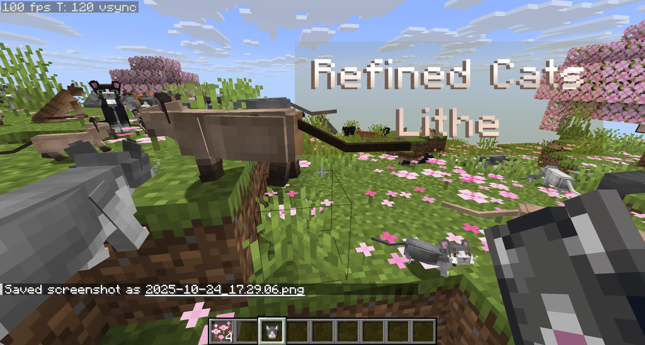 Refined Cats: Lithe, Текстуры, Minecraft