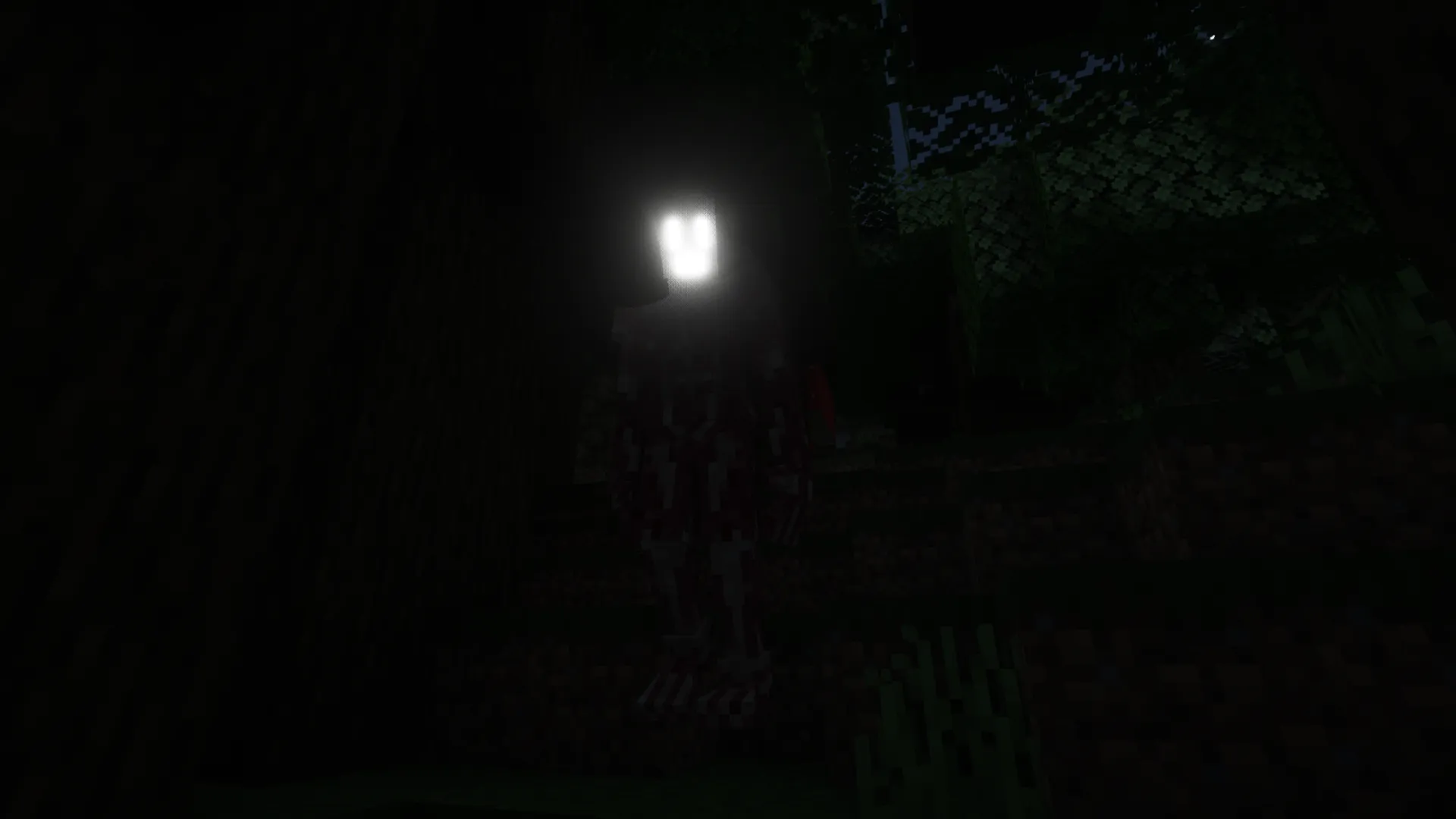Anatomy, Моды, Minecraft