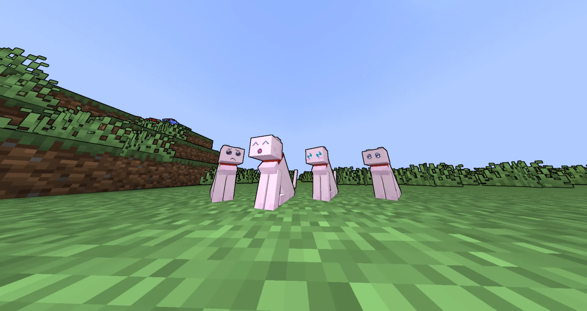 Pien cat from NGO NSO, Текстуры, Minecraft