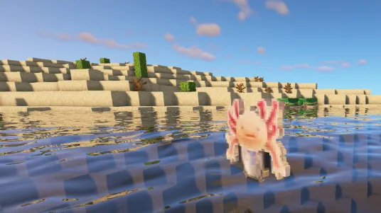 RR (Reform Reversal), Текстуры, Minecraft