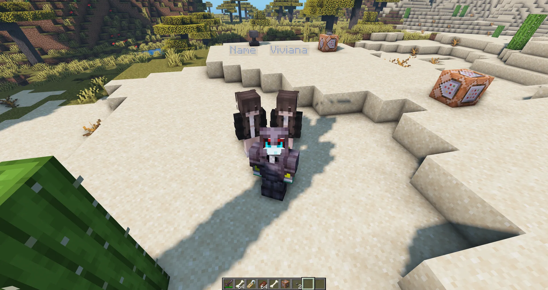 Personal Waifu [RP] — скриншот 1 (Текстуры, Minecraft)