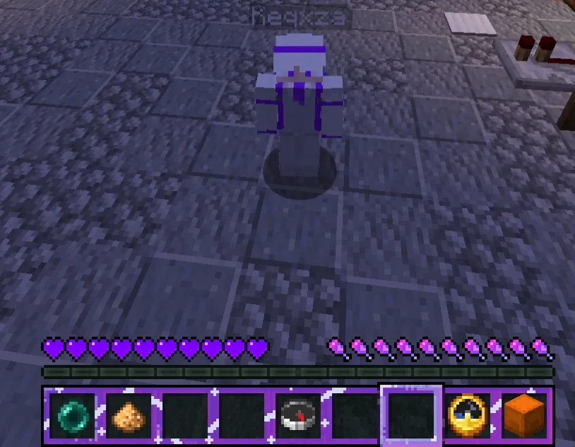 EnderZag, Текстуры, Minecraft