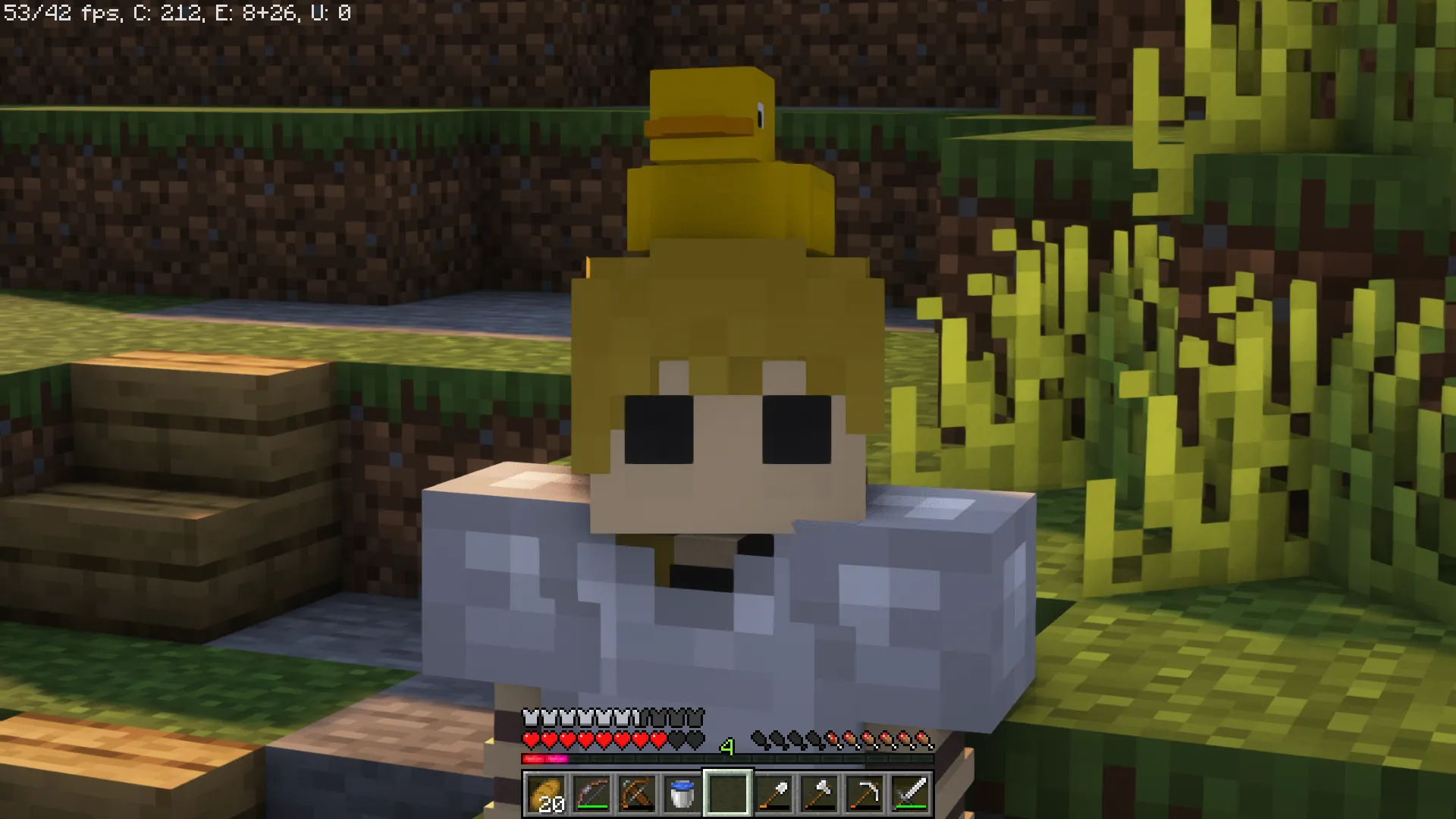 The Ducks Stuff — скриншот 1 (Текстуры, Minecraft)