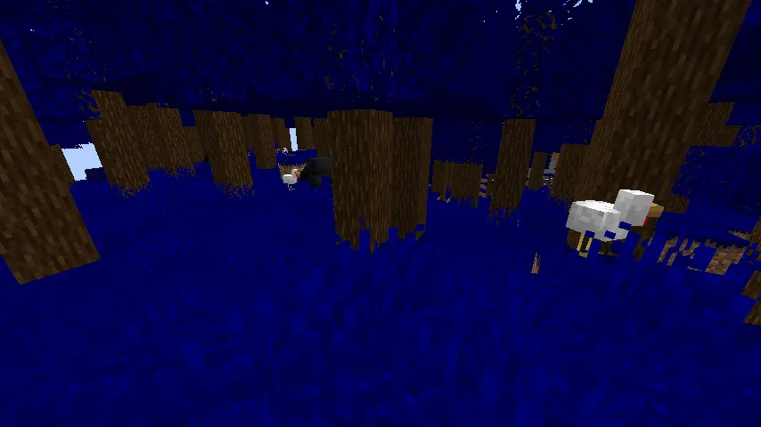 the stars and the salt, Моды, Minecraft