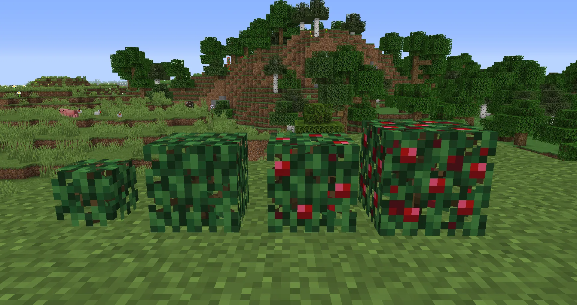 Blocky Sweet Berry Bush, Текстуры, Minecraft