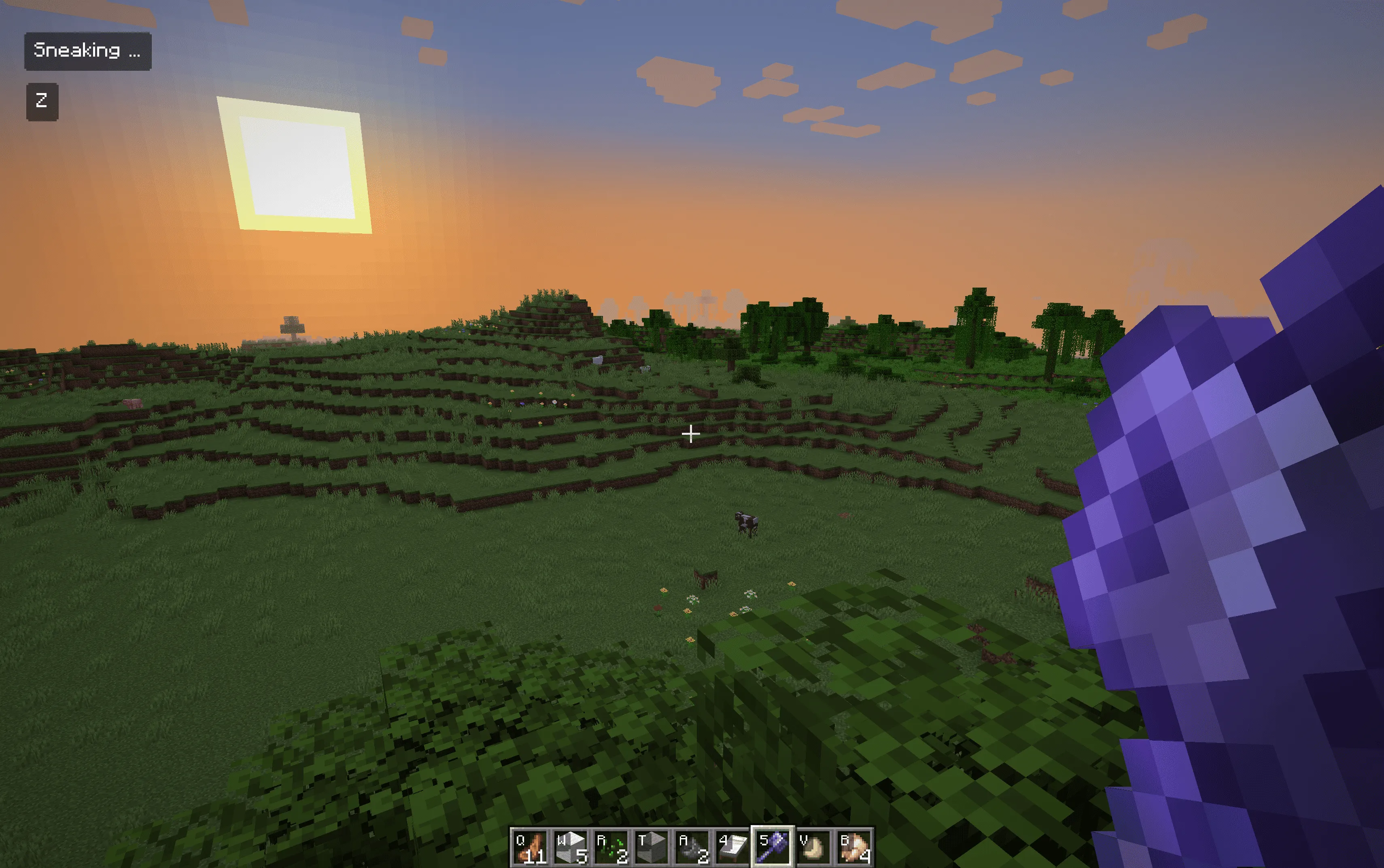 PVP Trainer, Моды, Minecraft