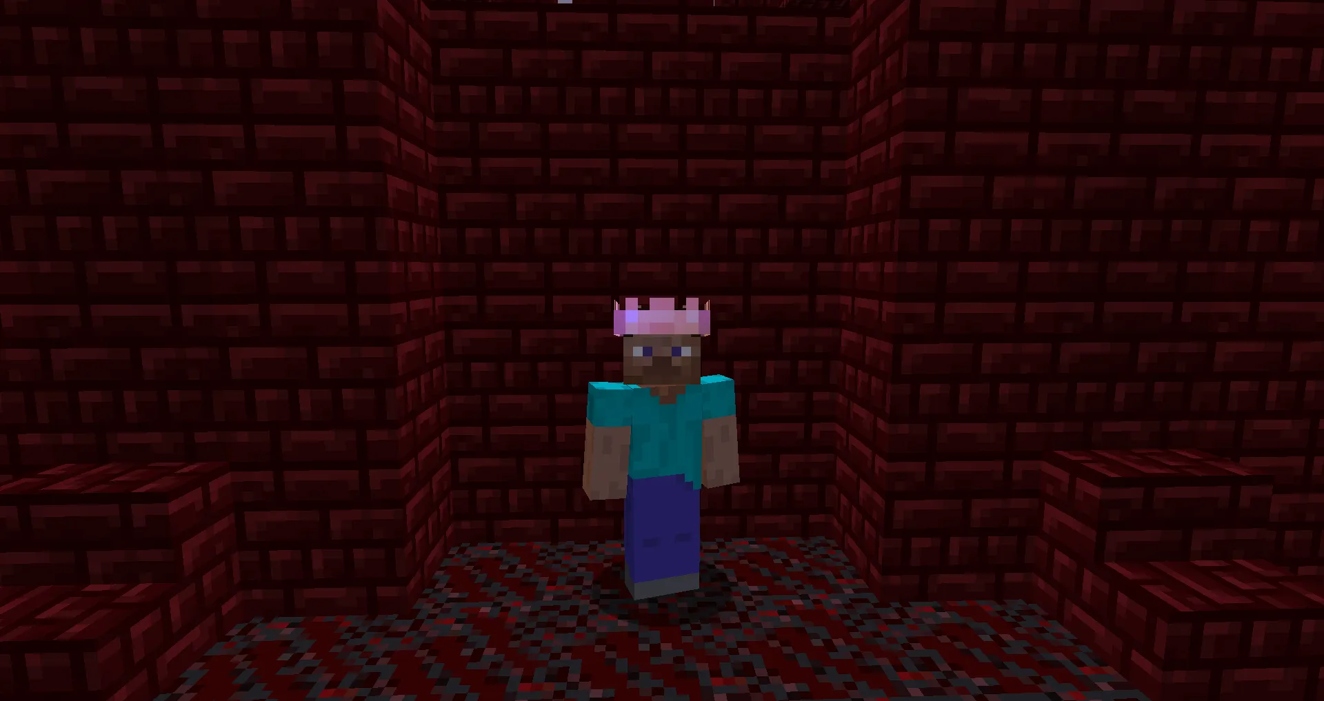 Wild Nether Update, Моды, Minecraft