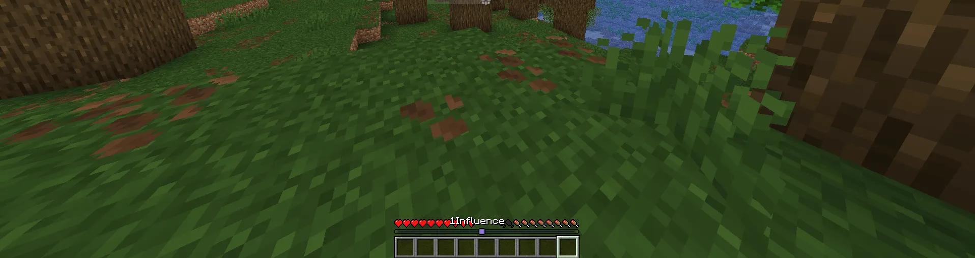 Locator Name Tags — скриншот 1 (Моды, Minecraft)