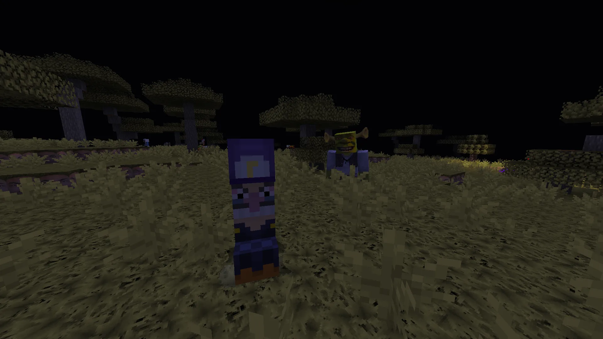 Binecr@ft Deluxe, Текстуры, Minecraft