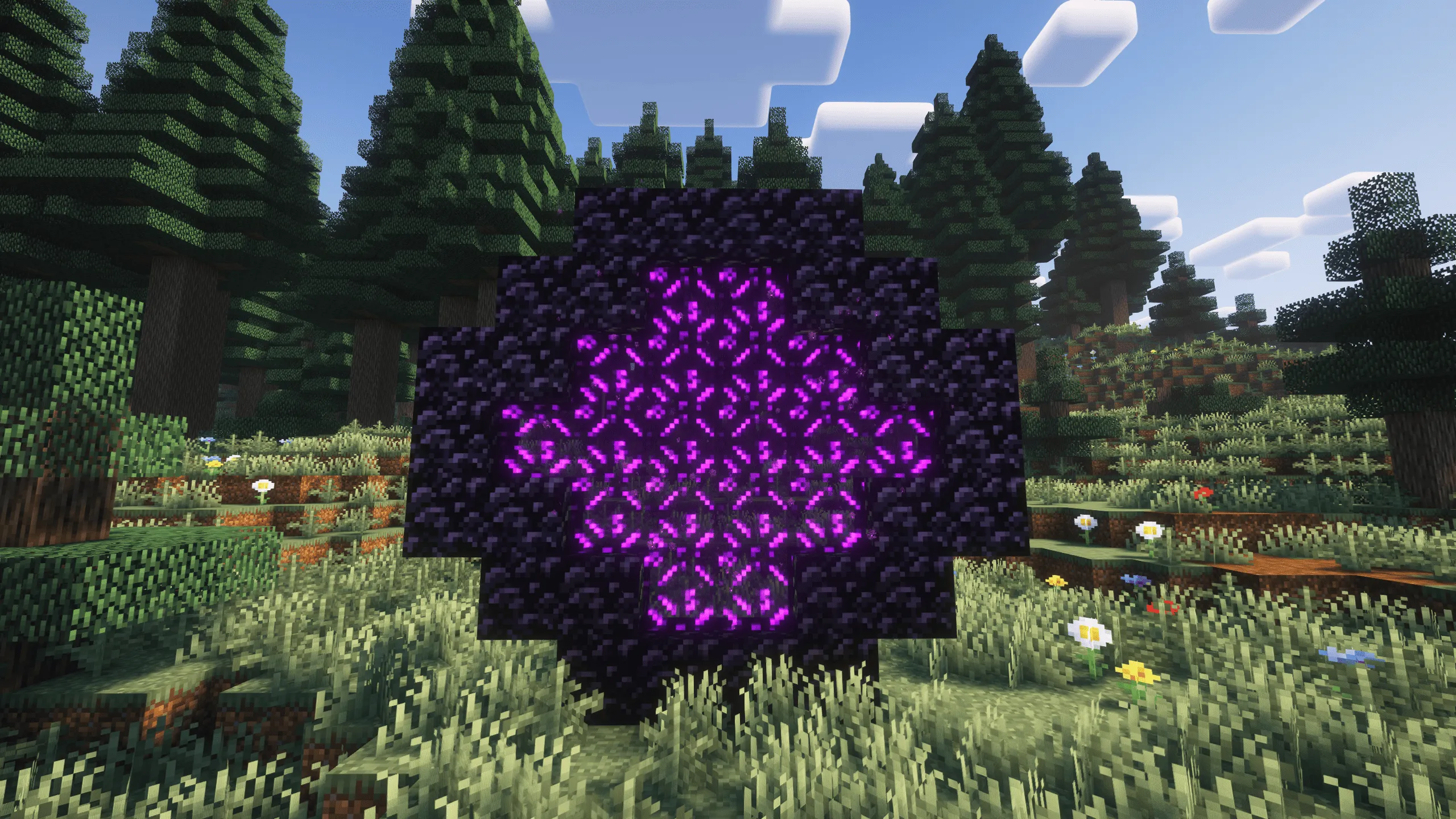 Custom Nether Portals [Any Shape Nether Portals], Моды, Minecraft