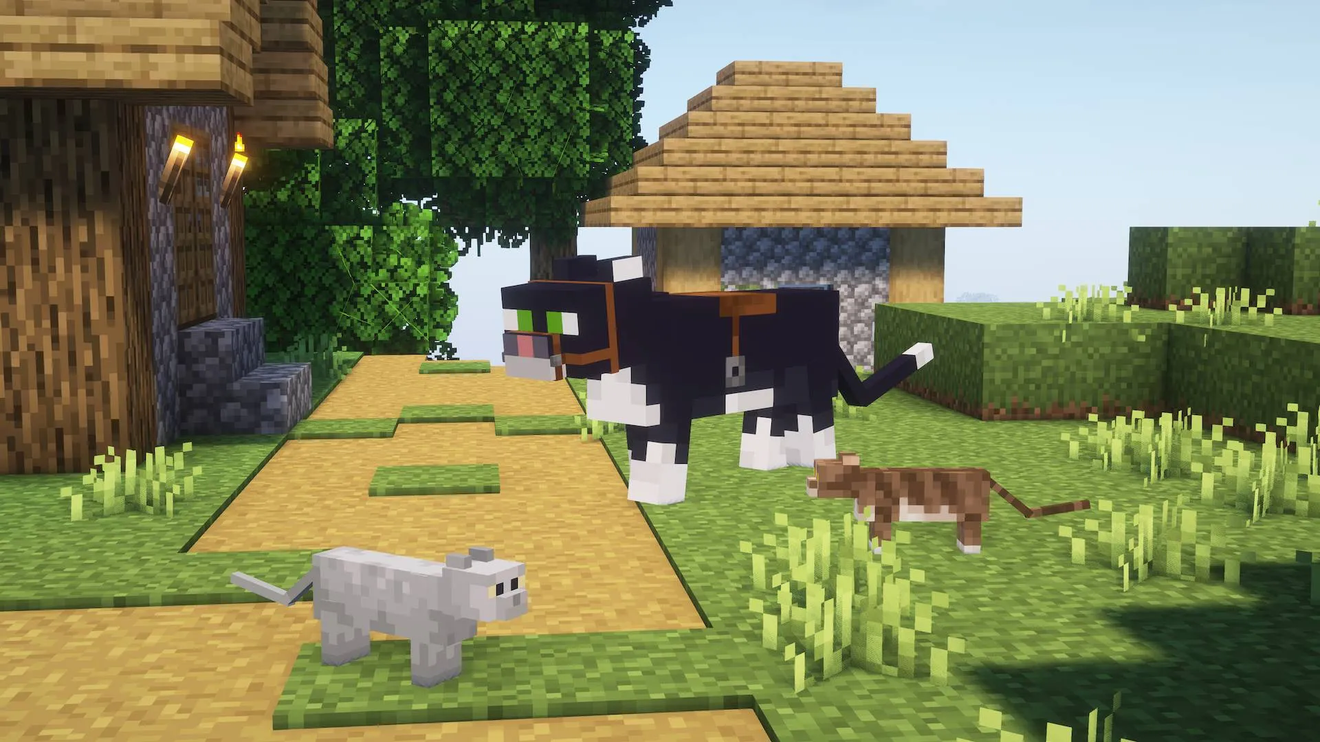 BlubWolf's Beyond Horses, Текстуры, Minecraft