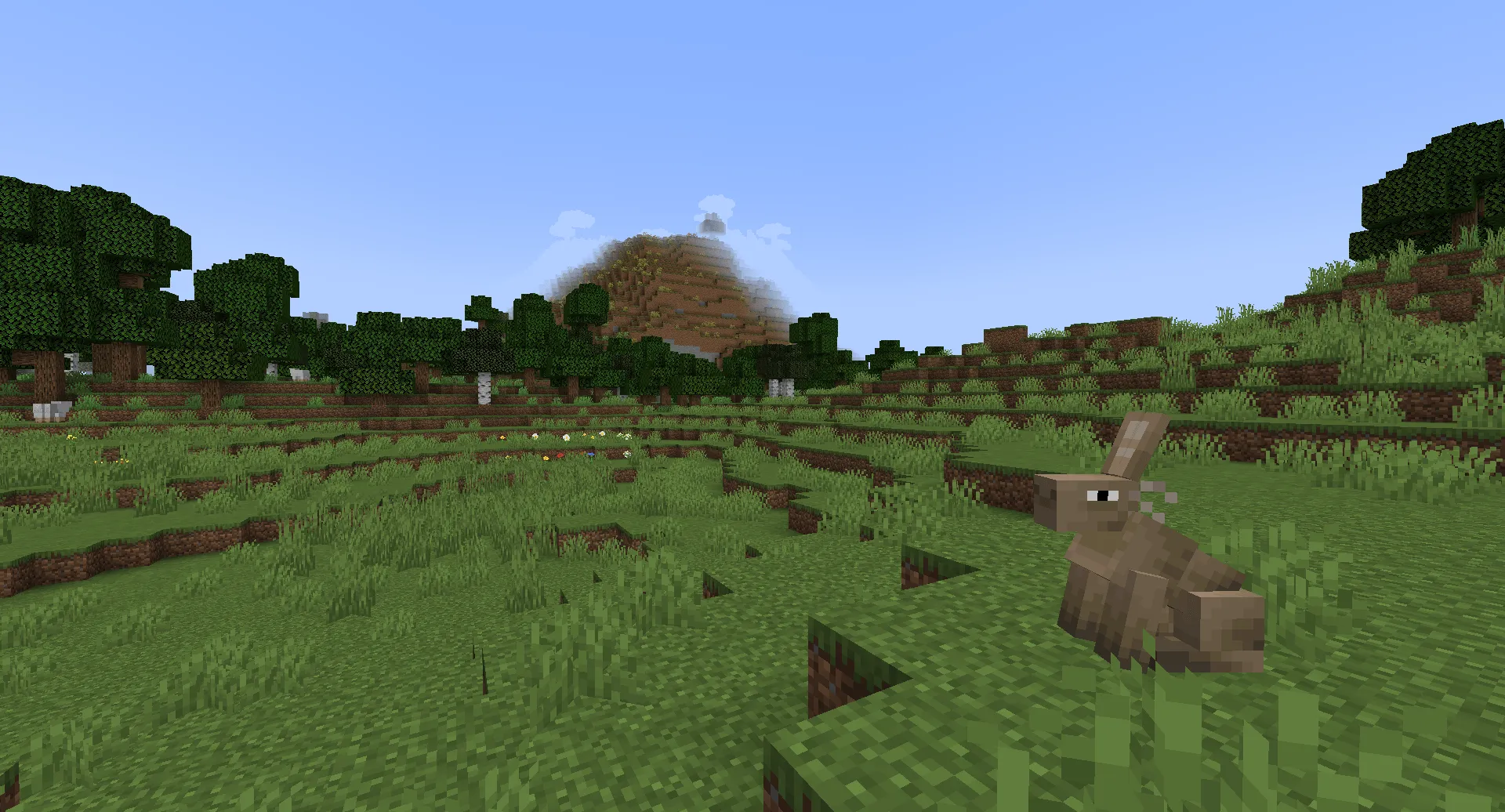 Radically Random Additions, Моды, Minecraft