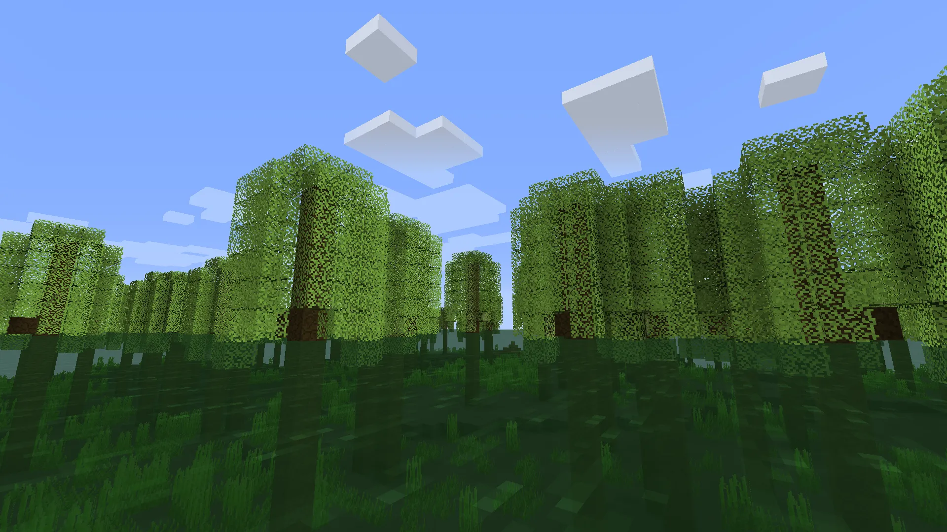 Swamp Biomes, Моды, Minecraft