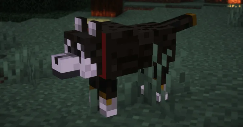 Shiba-dog, Текстуры, Minecraft